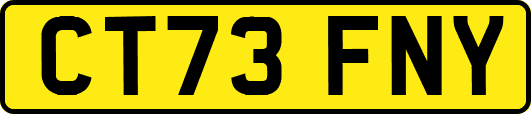 CT73FNY