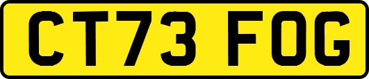 CT73FOG