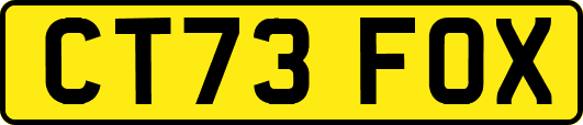 CT73FOX