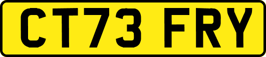CT73FRY