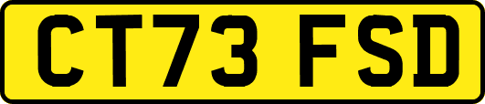 CT73FSD
