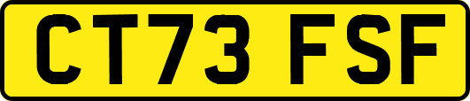 CT73FSF
