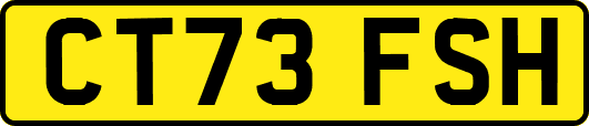 CT73FSH
