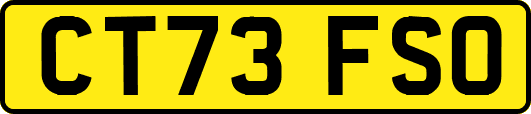 CT73FSO