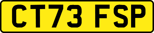 CT73FSP