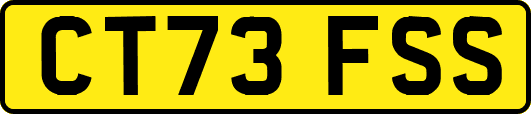 CT73FSS