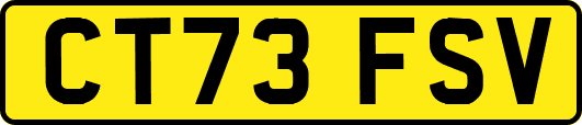 CT73FSV