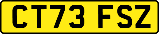 CT73FSZ