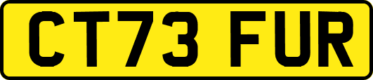CT73FUR