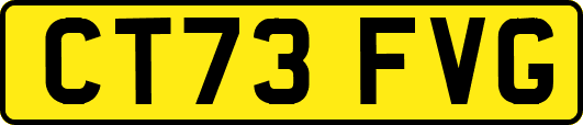CT73FVG
