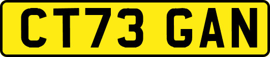 CT73GAN