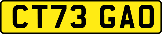 CT73GAO
