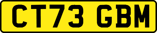 CT73GBM