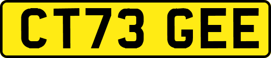 CT73GEE