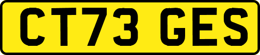 CT73GES