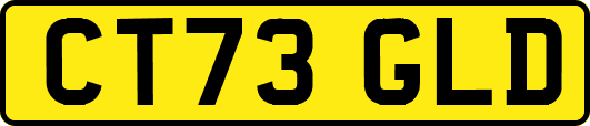 CT73GLD