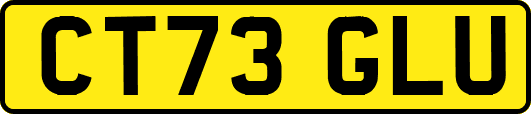 CT73GLU