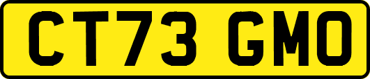 CT73GMO