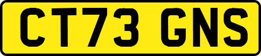 CT73GNS