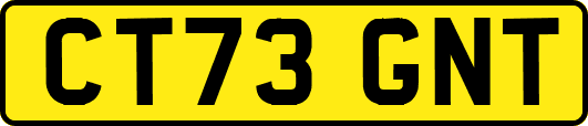 CT73GNT