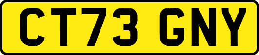 CT73GNY