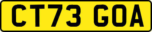 CT73GOA
