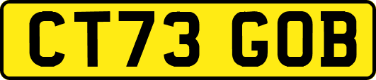CT73GOB