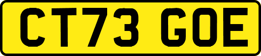 CT73GOE