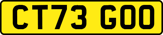 CT73GOO