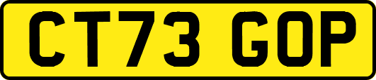 CT73GOP