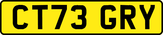 CT73GRY