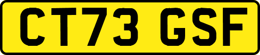 CT73GSF