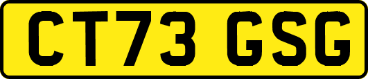CT73GSG