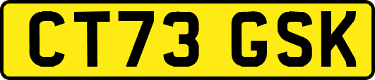 CT73GSK