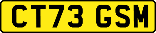CT73GSM