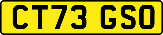 CT73GSO
