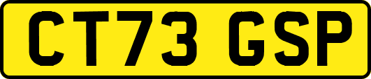 CT73GSP