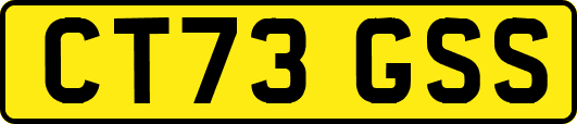 CT73GSS