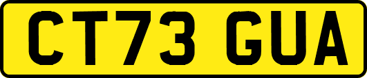 CT73GUA