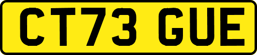 CT73GUE