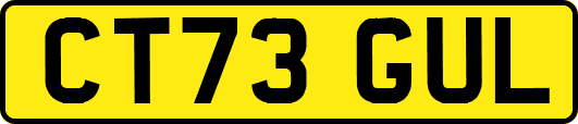 CT73GUL