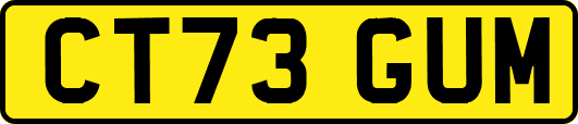 CT73GUM