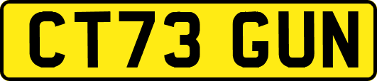 CT73GUN