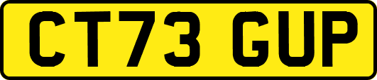 CT73GUP