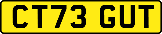 CT73GUT