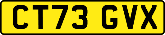 CT73GVX