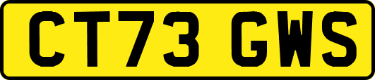 CT73GWS