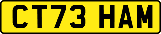 CT73HAM