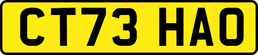 CT73HAO