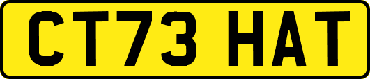 CT73HAT